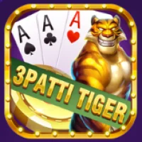 3 Patti Tiger